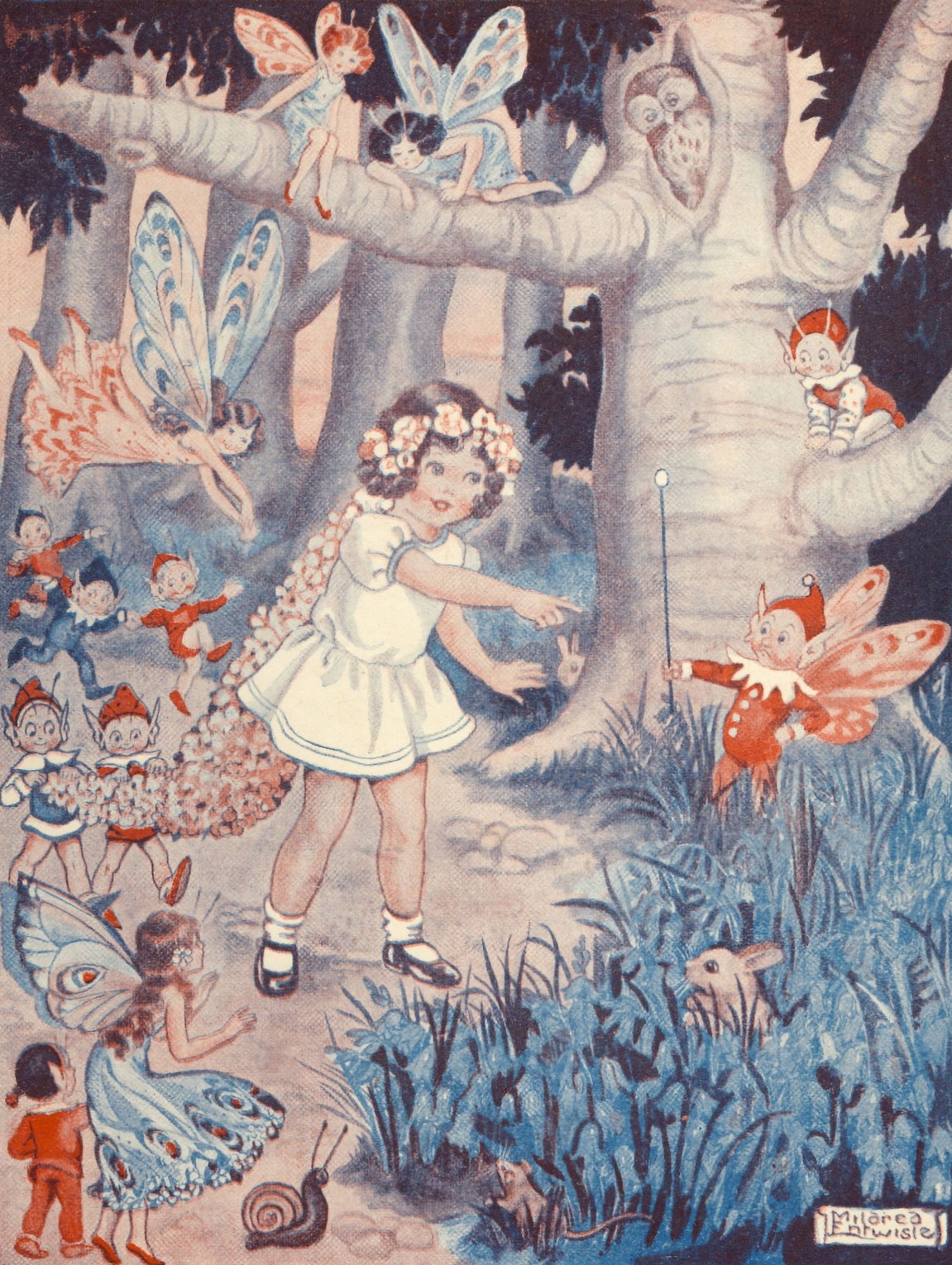 Tiny tots Annual 1931 The Fairies of Bluebell Wood Canvas Art - Mildred Entwisle (18 x 24)