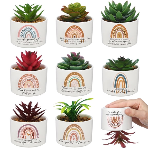 Tioncy 9 Pcs Thank You Rainbow Succulent Pots Plants for Coworker Gifts Employee Appreciation Gift Ceramic Funny Rainbow Pots for Coworker Planter Teacher Volunteer Nurse Birthday Gift Y101