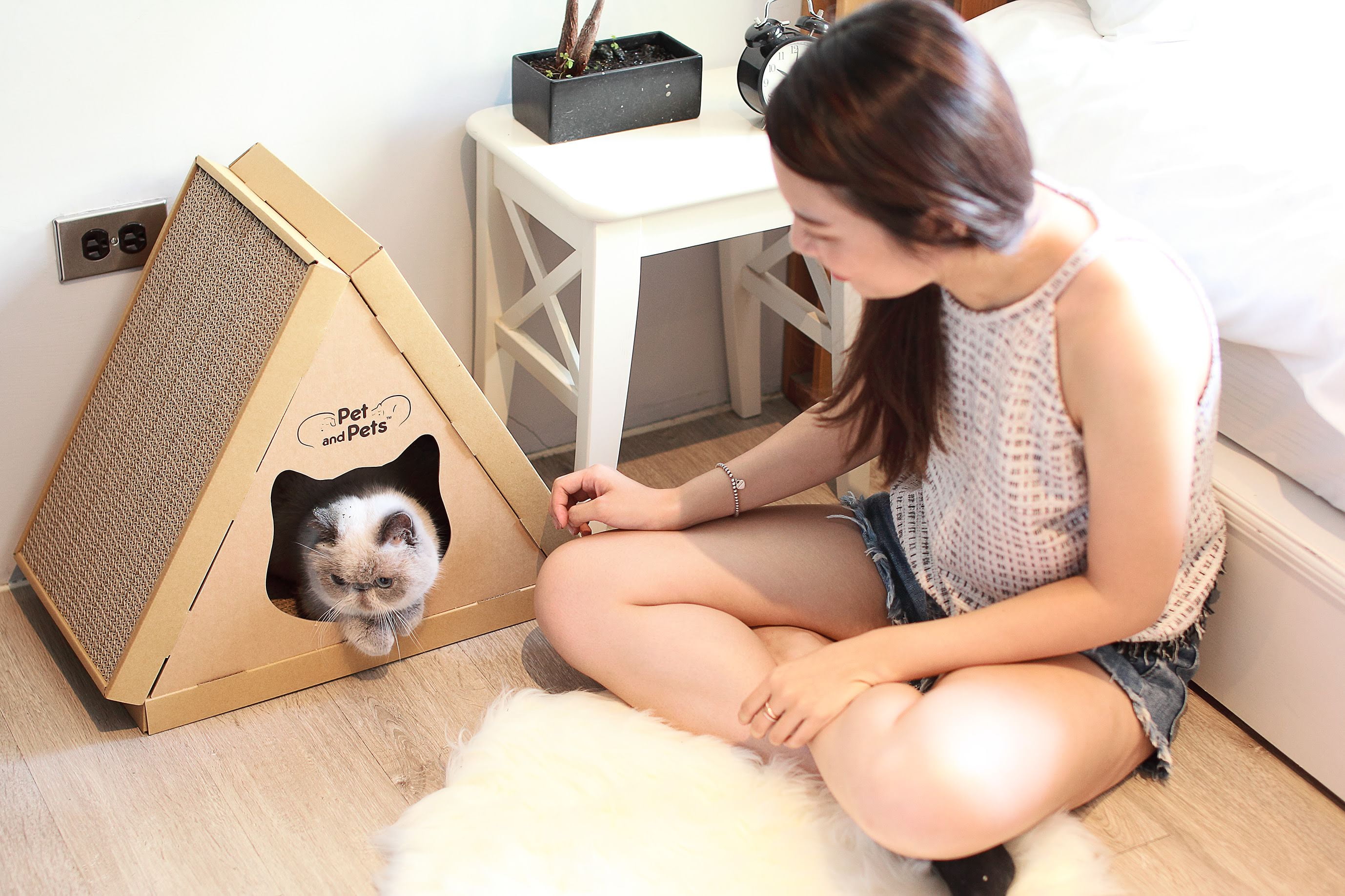 Eco-Friendly Cardboard Cat House with Scratch Boards