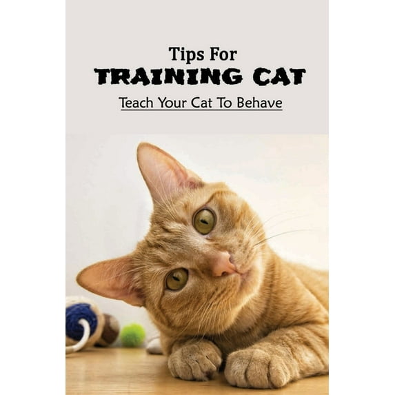 Tips For Training Cat: Teach Your Cat To Behave: Can You Teach A Cat Commands? (Paperback)