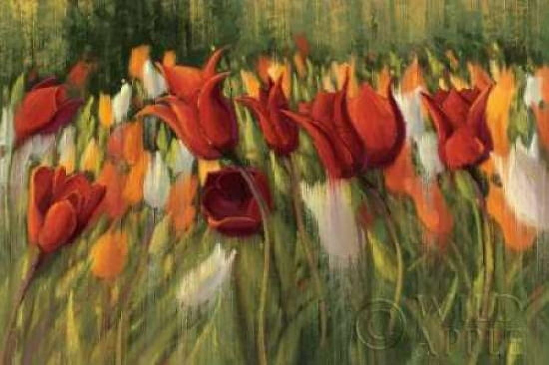 Tipsy Tulips Canvas Art - Shirley Novak (24 x 36)