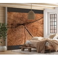 thumbnail image 1 of Tiptophomedecor Background & Patterns Wallpaper Wall Mural - Tree Trunk Cross Section, 1 of 8