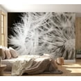 thumbnail image 1 of Tiptophomedecor Botanical Wallpaper Wall Mural - Black And White Dandelion, 1 of 6