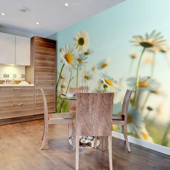 Tiptophomedecor Floral Wallpaper Wall Mural - Daisies Spring Meadow