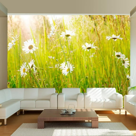Tiptophomedecor Floral Wallpaper Wall Mural - Daisy Field