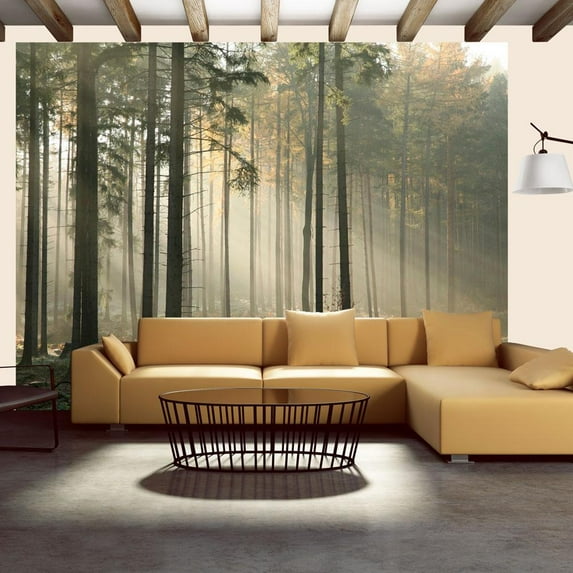 Tiptophomedecor Landscape Wallpaper Wall Mural - Foggy November Morning