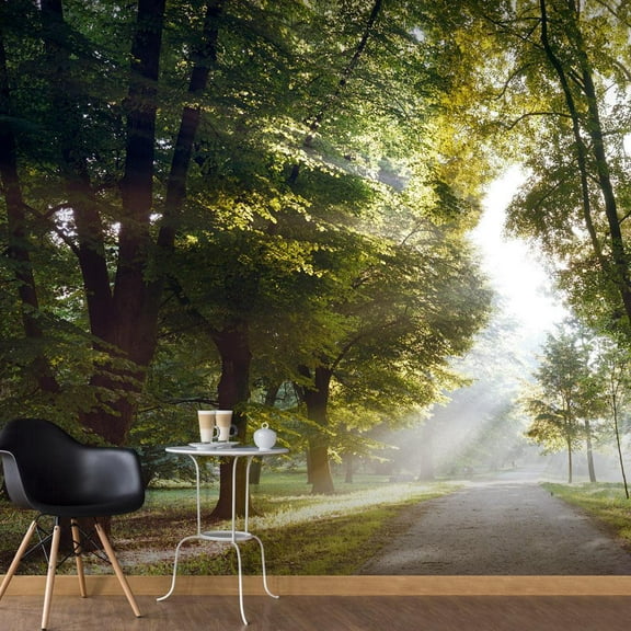 Tiptophomedecor Landscape Wallpaper Wall Mural - Morning Walk
