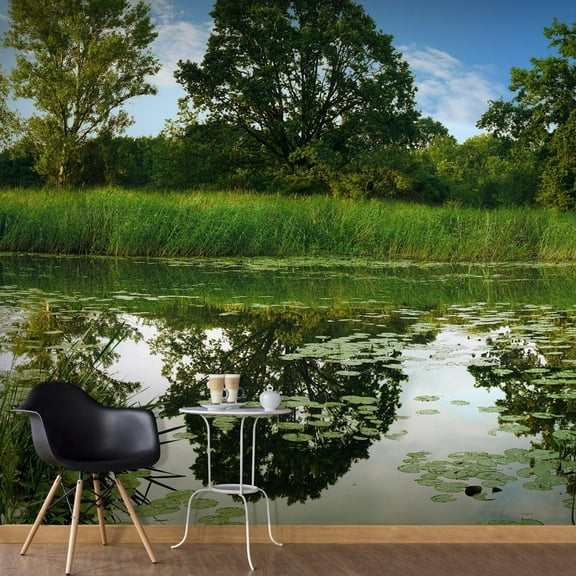 Tiptophomedecor Landscape Wallpaper Wall Mural - The Magic Pond