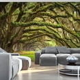 thumbnail image 1 of Tiptophomedecor Landscape Wallpaper Wall Mural - Tree Embrace, 1 of 4