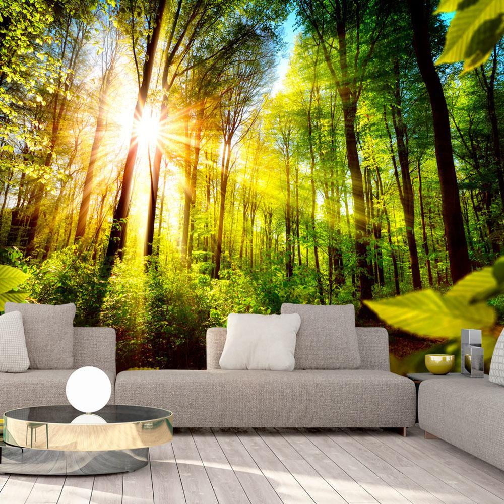 Tiptophomedecor Peel and Stick Forest Wallpaper Wall Mural Forest