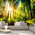 thumbnail image 1 of Tiptophomedecor Peel and Stick Forest Wallpaper Wall Mural - Forest Hideout - Removable Wall Decals, 1 of 3