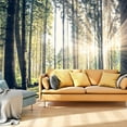 thumbnail image 1 of Tiptophomedecor Peel and Stick Forest Wallpaper Wall Mural - Forest Walk - Removable Wall Decals, 1 of 3