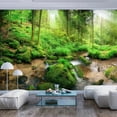 thumbnail image 1 of Tiptophomedecor Peel and Stick Forest Wallpaper Wall Mural - Humid Forest - Removable Wall Decals, 1 of 3