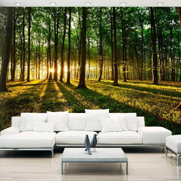 Tiptophomedecor Peel and Stick Forest Wallpaper Wall Mural - Mystical Morning - Removable Wall Decals