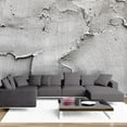 thumbnail image 1 of Tiptophomedecor Peel and Stick Wallpaper Wall Mural - Concrete Rough Plaster - Removable Wall Decals, 1 of 3