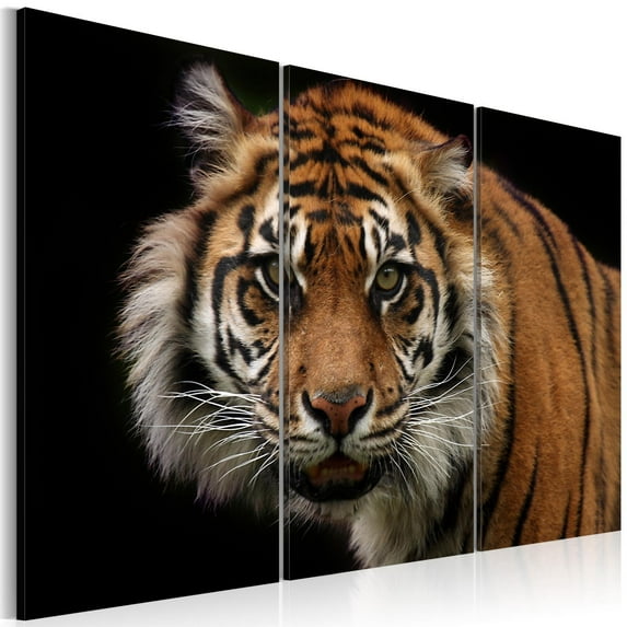 Tiptophomedecor Stretched Canvas Animal Art - A Wild Tiger - Stretched & Framed Ready To Hang Art