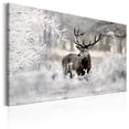 thumbnail image 1 of Tiptophomedecor Stretched Canvas Animal Art - Lonely Deer - Stretched & Framed Ready To Hang Art, 1 of 3