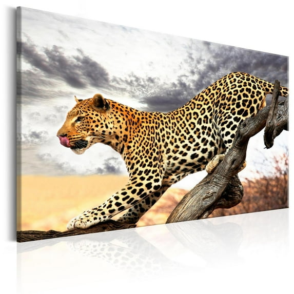 Tiptophomedecor Stretched Canvas Animal Art - Predatory Stare - Stretched & Framed Ready To Hang Art