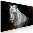 thumbnail image 1 of Tiptophomedecor Stretched Canvas Animal Art - Shining Tiger Orange Narrow - Stretched & Framed Ready To Hang Art, 1 of 3