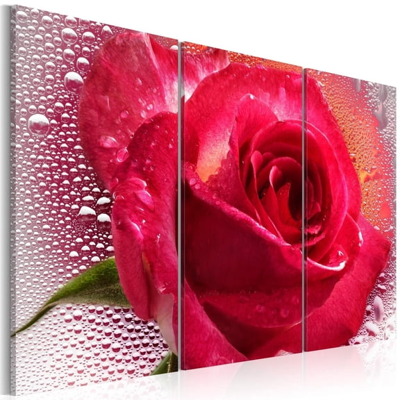 Tiptophomedecor Stretched Canvas Floral Art - Lady Rose - Triptych - Stretched & Framed Ready To Hang Art