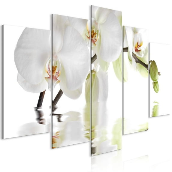 Tiptophomedecor Stretched Canvas Floral Art - Wonderful Orchid Wide - Stretched & Framed Ready To Hang Art