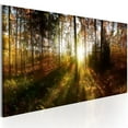thumbnail image 1 of Tiptophomedecor Stretched Canvas Landscape Art - Beautiful Forest - Stretched & Framed Ready To Hang Art, 1 of 3