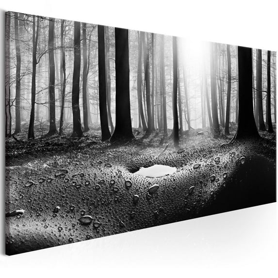 Tiptophomedecor Stretched Canvas Landscape Art - Forest After Rain Narrow - Stretched & Framed Ready To Hang Art