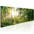 thumbnail image 1 of Tiptophomedecor Stretched Canvas Landscape Art - Forest Shelter - Stretched & Framed Ready To Hang Art, 1 of 3