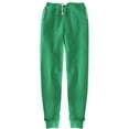 thumbnail image 1 of Tiqkatyck Sweatpants Women, Women's Warm Lined Athletic High Waisted Jogger Pants Fleece Lined Winter Thicken Outdoor Long Pants Gym Leggings for Women, Trousers Pants for Women Green XXXXXXL, 1 of 4