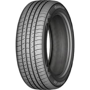 Barkley Everlast AS 195/65R15 91H Performance a/s All Season Tire