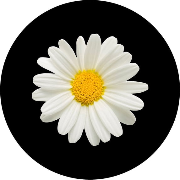 Tire Cover Central Daisy Flower Black Vinyl (Select Size/Camera in Menu)235/75R15