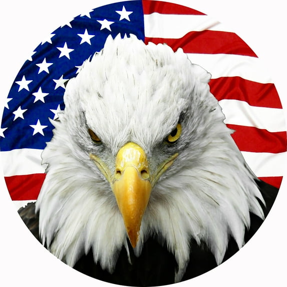 Tire Cover Central Eagle US Flag Black Vinyl (Select Size/Camera in Menu) 35X12.5X___