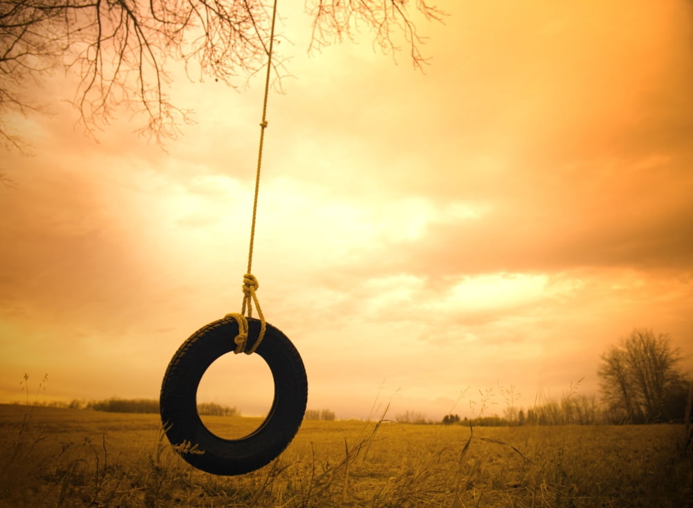Tire Swing Canvas Art - Darren Greenwood Design Pics (32 x 22)