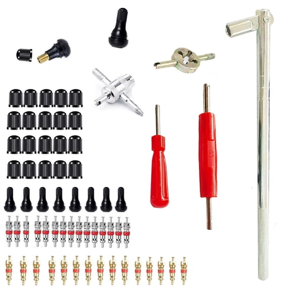 Tire Valve Removal Tool Installation Kit,Tire Valve Stem Removal Tool,Car Tire Valve Core Remover,65-Piece Automotive Accessories,for Truck ATV Vehicle Auto Sedan SUV