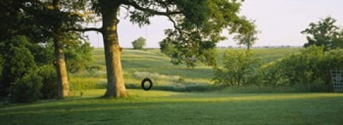 Tire swing on a tree Canvas Art - Panoramic Images (18 x 7)