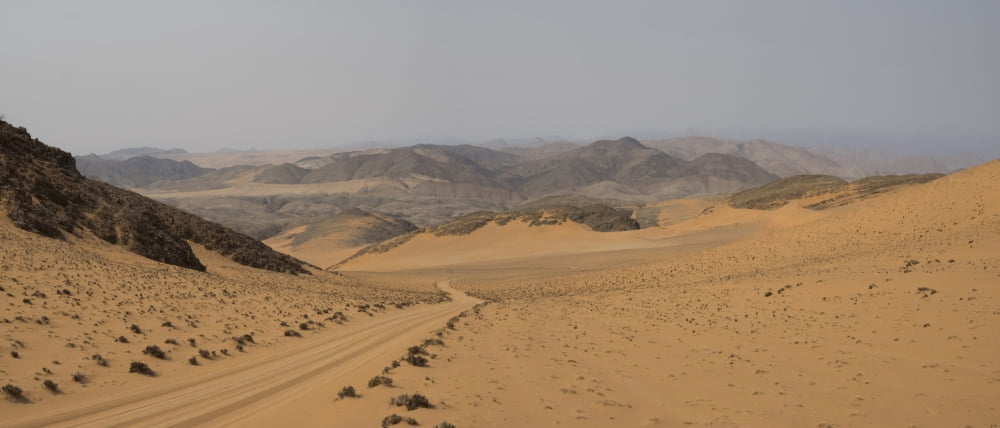Tire track through desert Hartmann Valley Kunene Namibia Canvas Art - Panoramic Images (36 x 12)