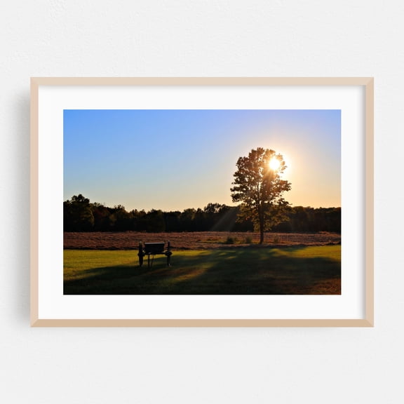 Tired Day - Manassas Virginia Photography Sunset Landscape Rural Nature Scenic Autumn Pastoral Oak Framed Wall Art Print 16 x 24 inches