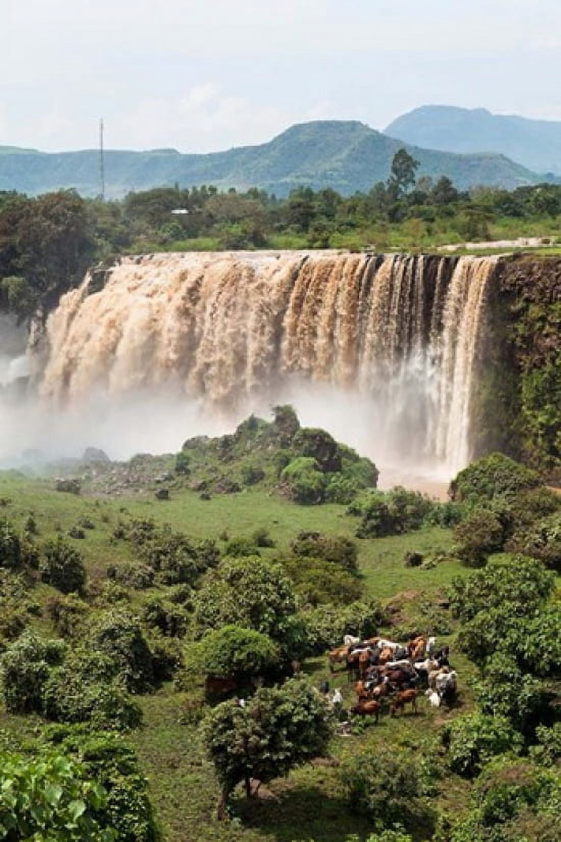 Tis Isat waterfall Blue Nile Ethiopia Canvas Art - Martin Zwick DanitaDelimont (25 x 38)