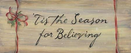 Tis the Season for Believing Canvas Art - Karen Tribbet (10 x 20)