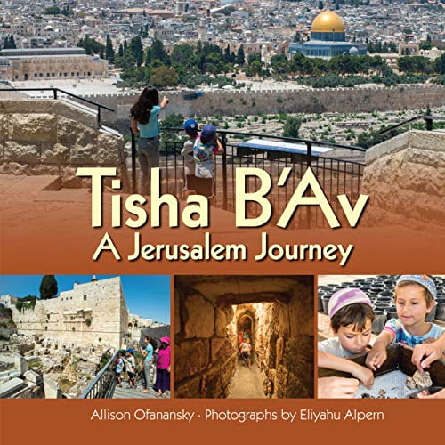 Pre-Owned Tisha B'Av: A Jerusalem Journey (Hardcover) 1467789305 9781467789301