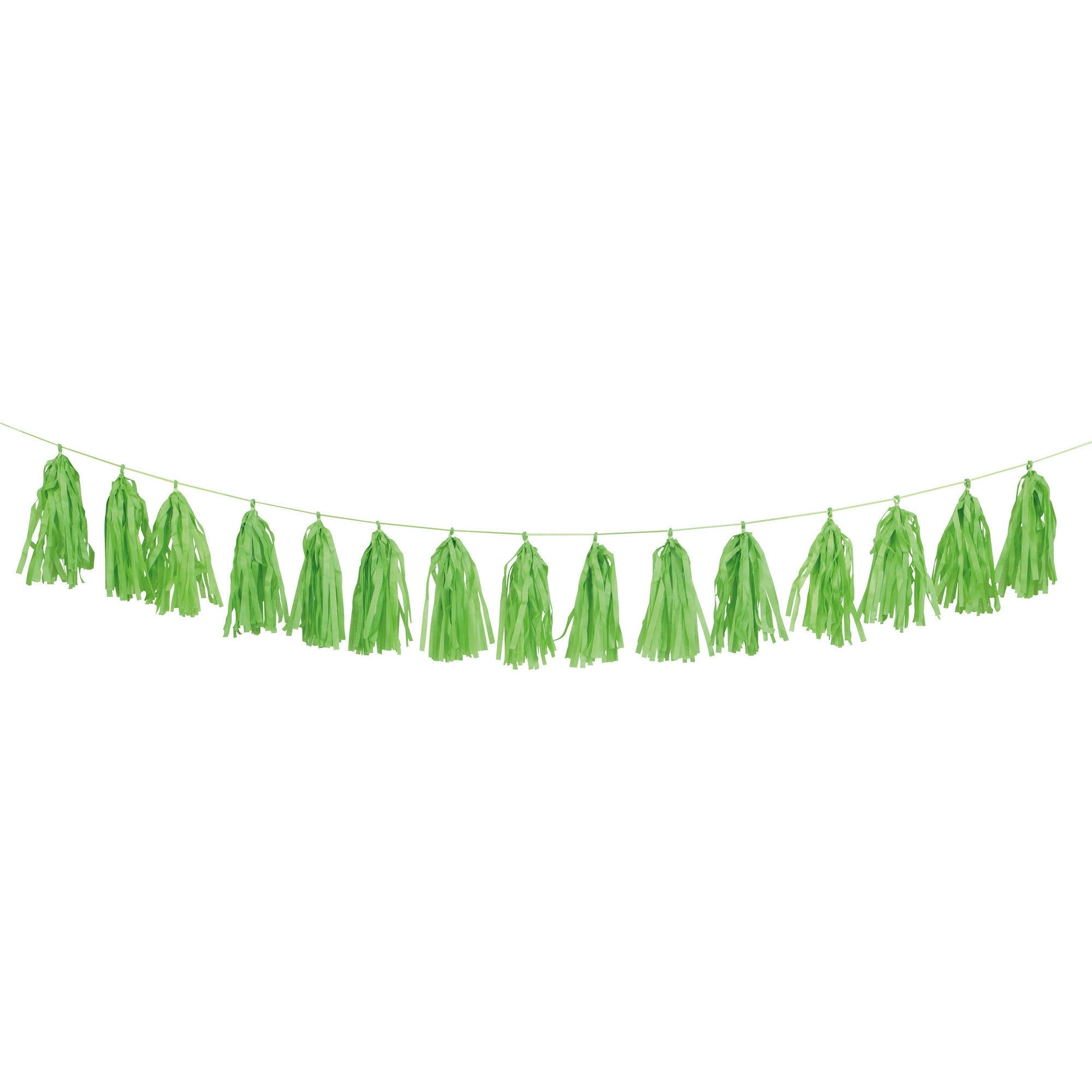 Tissue Paper Tassel Garland, 9 ft, Lime Green, 1ct
