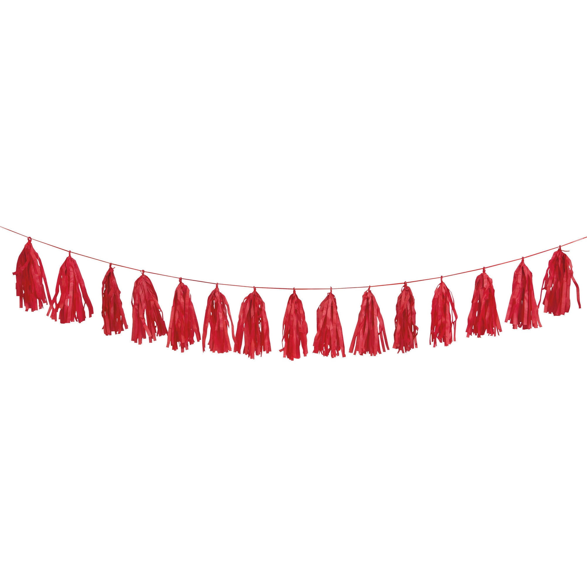 Tissue Paper Tassel Garland // Love is in the Air // Red 