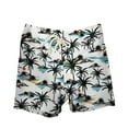 thumbnail image 1 of Tisuna Infant Baby Boys Swim Trunks Dinosaur Print Elastic Waist Straight Leg Shorts Fashion Cute Little Boys Swimming Pool Seaside Holiday Summer Swimwear Black Size 0-6 Months, 1 of 2