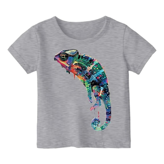 Tisuna Summer T Shirt For Boys Child Cartoon Print Short Sleeve Crew Neck Tops Comfortable Loose Kids Regular Fit Summer Outfits Grey Size 12-13 Years