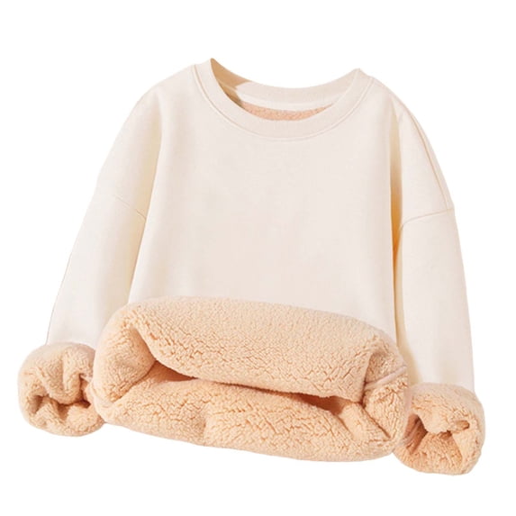 Tisuna Toddler Crewneck Sweatshirts Girls Stylish Solid Color Fleece Sweatshirt Teen And Youth Activewear Long Sleeve Tshirts Size 3-4 Years