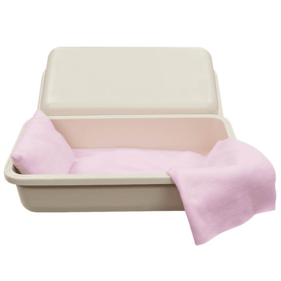 Titan Casket Classic Pet Burial Casket (Medium) Almond With Pink