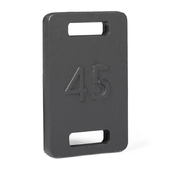 Titan Fitness 45 LB Cast Iron Ruck Weight Plate, Backpack Weight Training, Dual Wide Handles, Round Corners Smooth Edges, Ideal for Resistance Training, Strengthen Posture Stability, Full Body Cardio