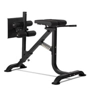 Titan Fitness Adjustable Dual Hyperextension, Crunch, GHD Specialty Machine, 450 LB Capacity, Lower Back, Core, Glutes, and Abs