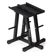 Titan Fitness Dumbbell Stand and Plate Tree, 260 LB Capacity