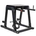 thumbnail image 1 of Titan Fitness H-PND, Reverse Hyperextensions Lower Body Machine, Rated 700 LB, 1 of 6